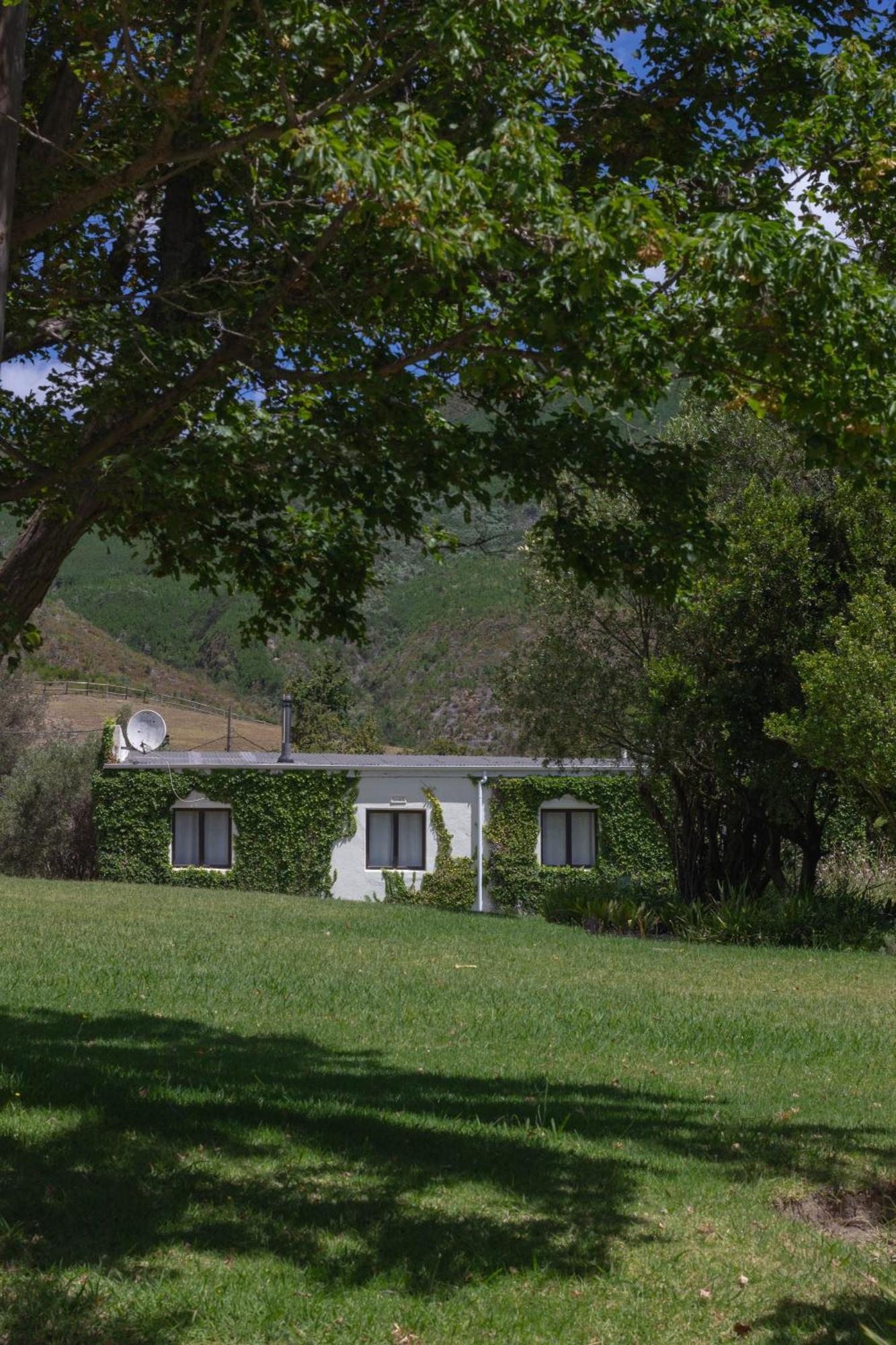 Three Streams Cottage Franschhoek Eksteriør billede